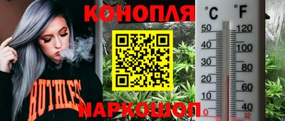 молекула духа Гудермес